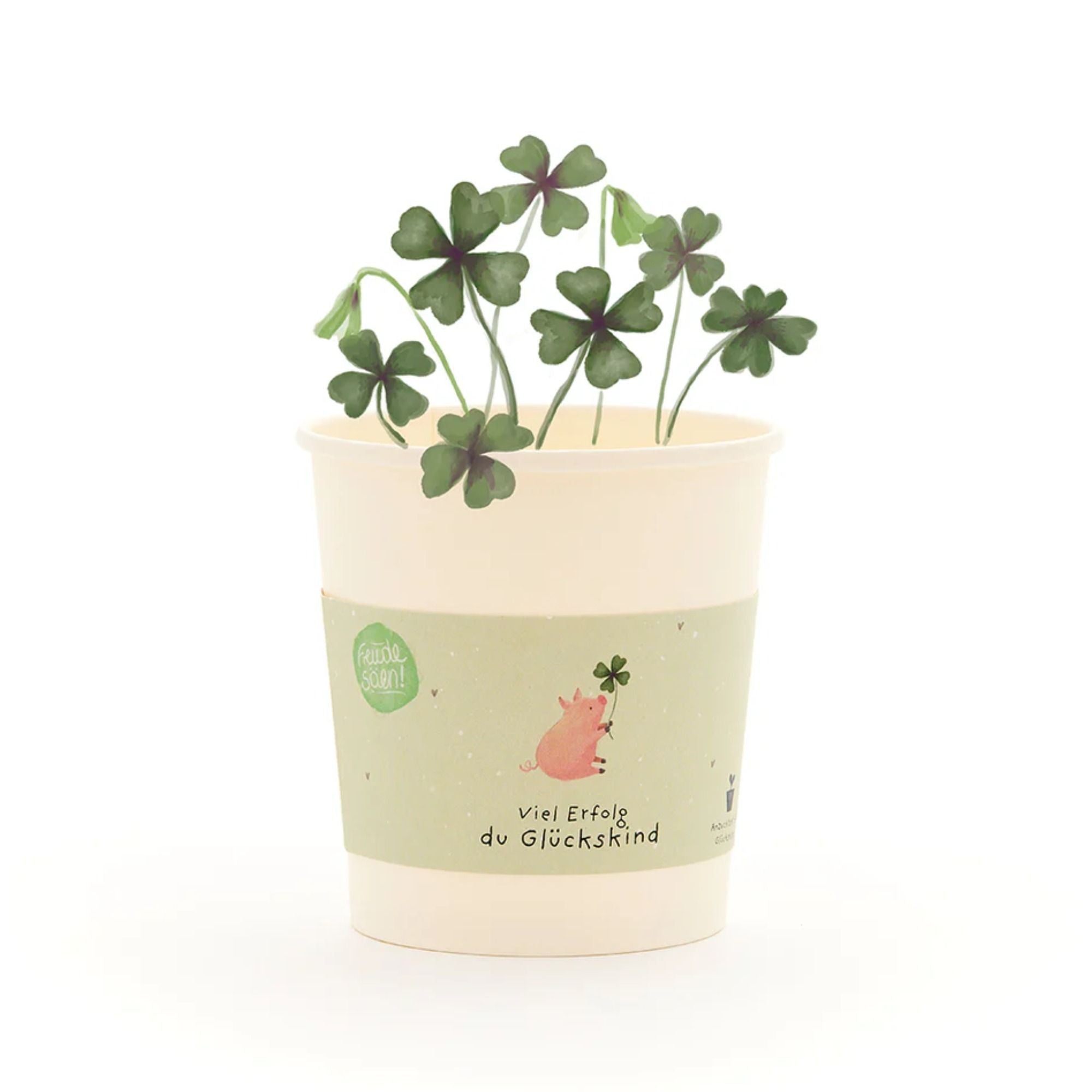 Komplimente - Anzuchtset Saatgut aus dem Becher