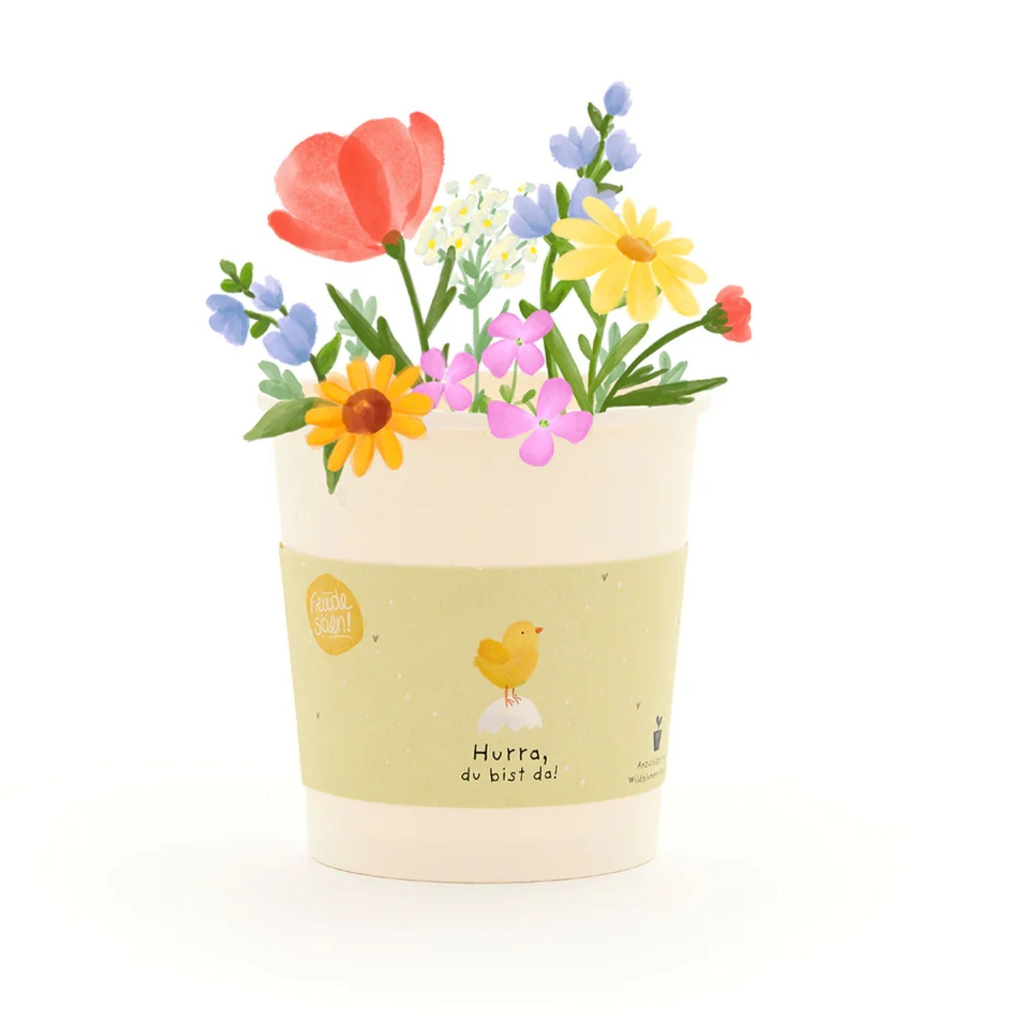 Komplimente - Anzuchtset Saatgut aus dem Becher