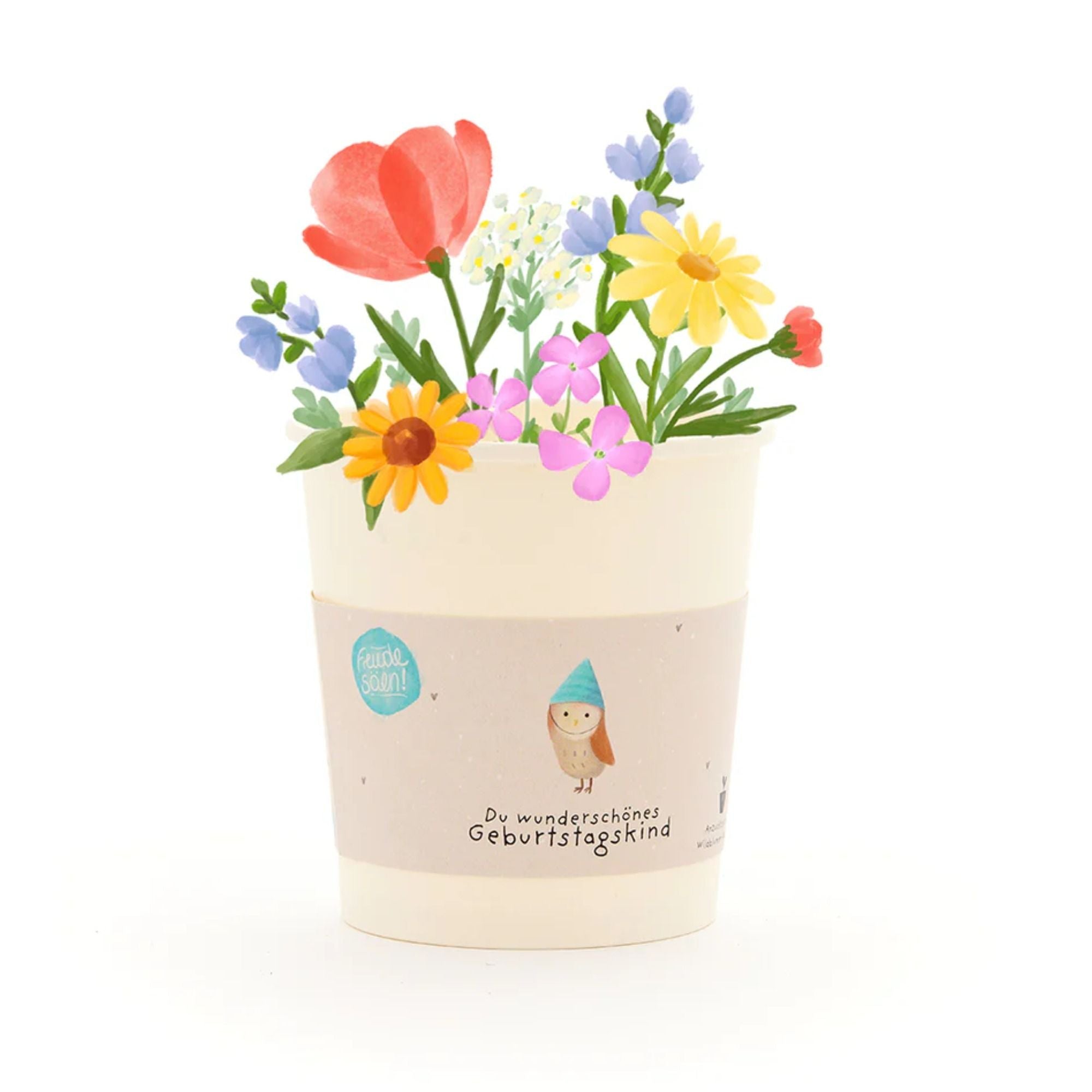 Komplimente - Anzuchtset Saatgut aus dem Becher