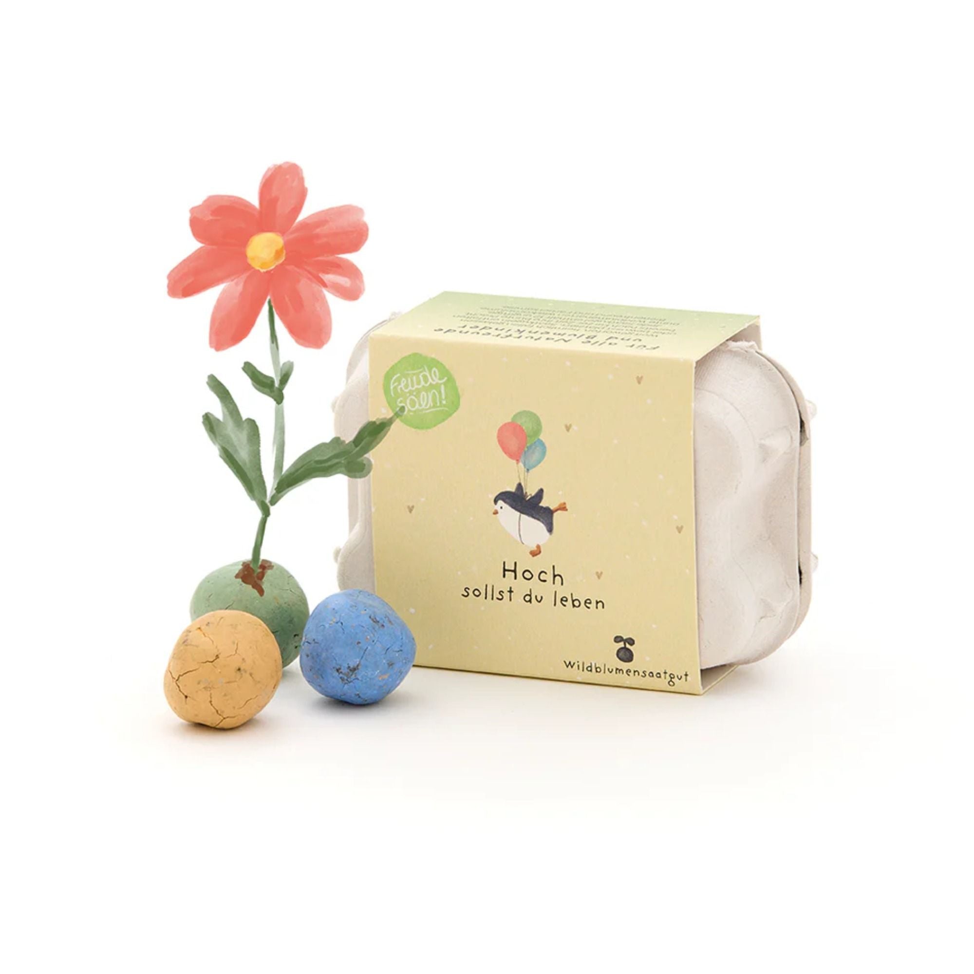 Blumenmurmeln 6 Stück in Eierkarton
