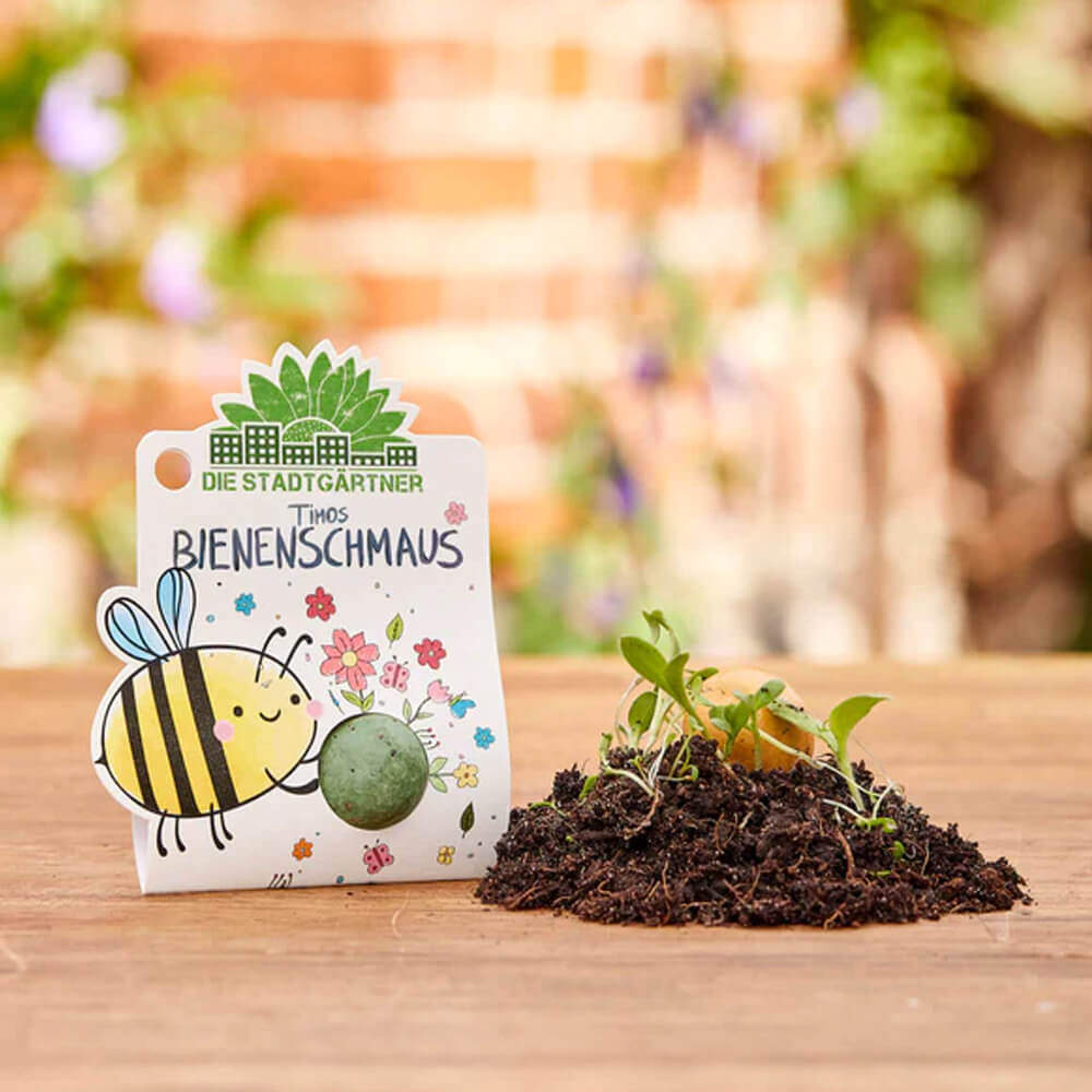 1er Blumenmurmeln in süßer Umverpackung von Stadtgärtner kaufen - Spielzeug, Geschenke, Babykleidung & mehr