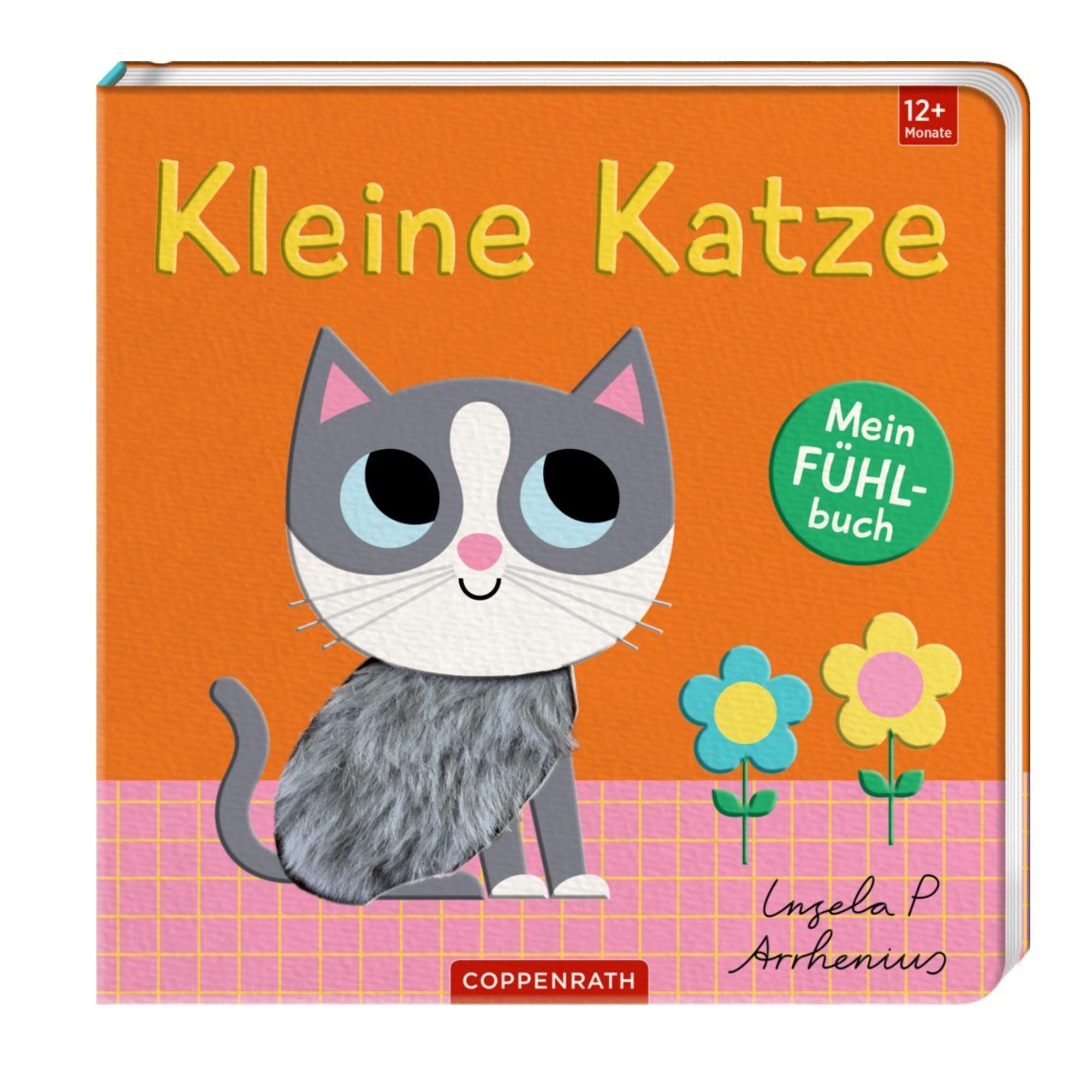 Mein Fühlbuch