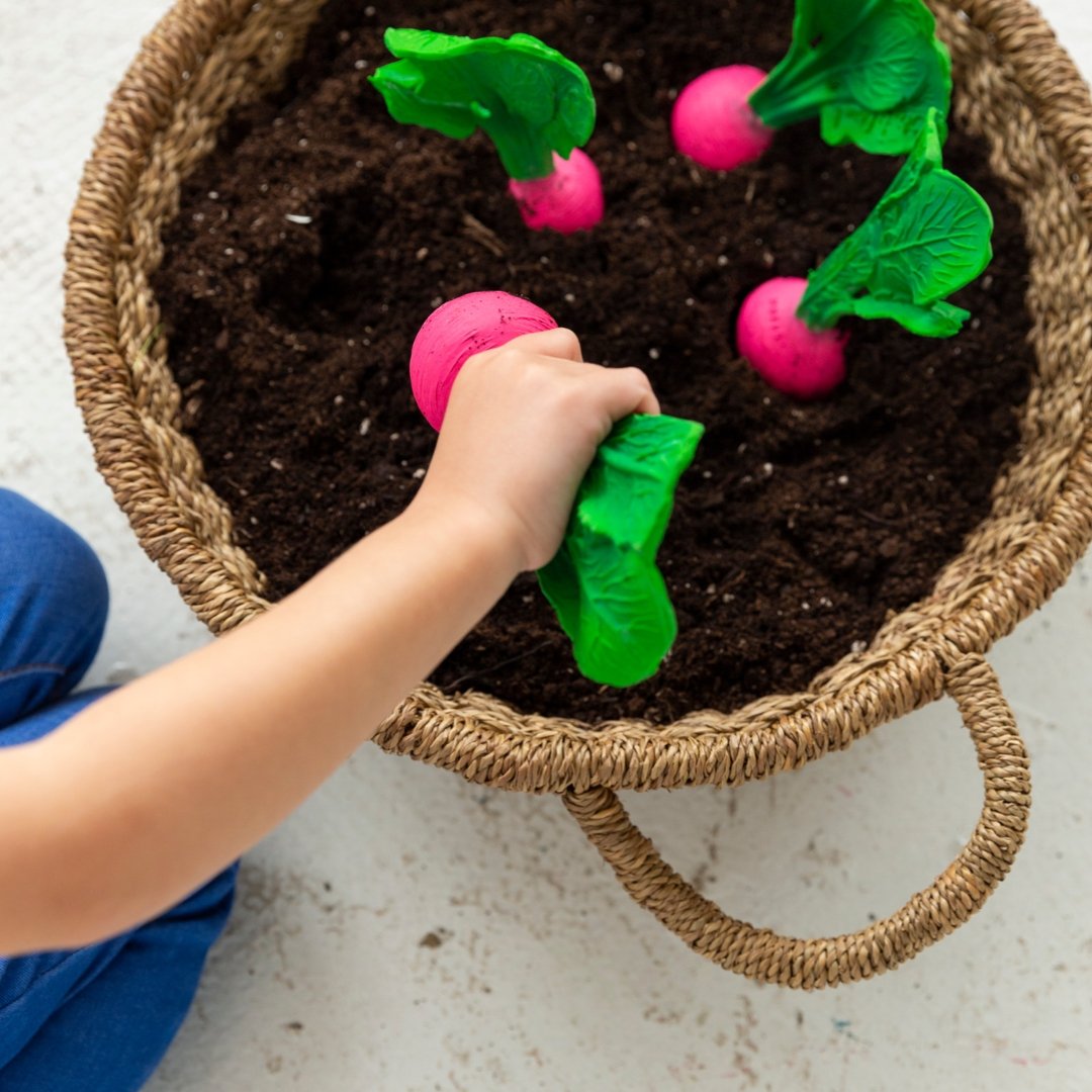 Babyspielzeug “Ramona the Radish” von Oli&Carol kaufen - Spielzeug, Babykleidung & mehr