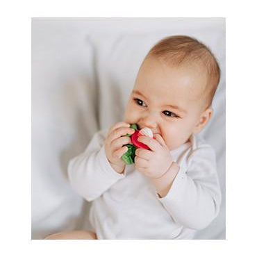 Beißring von Oli&Carol kaufen - Baby, Alltagshelfer, Geschenke, Babykleidung & mehr