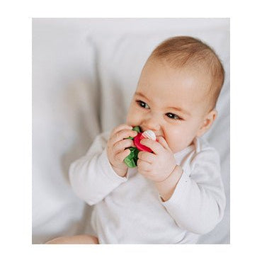 Beißring von Oli&Carol kaufen - Baby, Alltagshelfer, Geschenke, Babykleidung & mehr