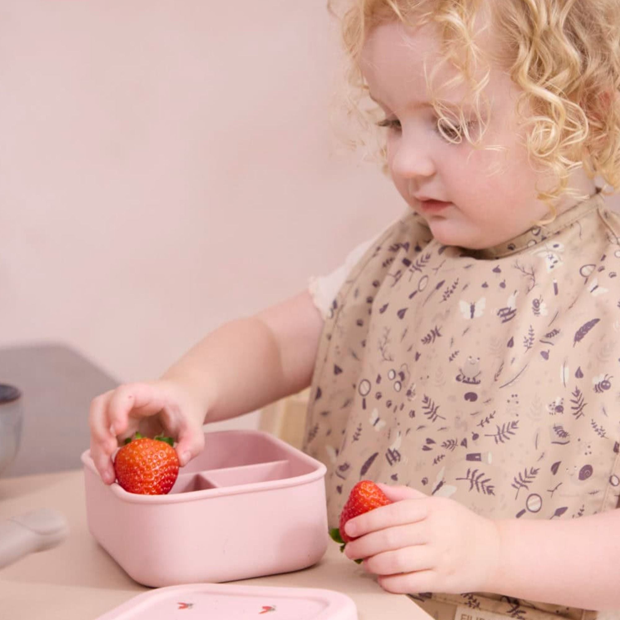 Brotdose aus 100% Silikon von Filibabba kaufen - Alltagshelfer, Babykleidung & mehr