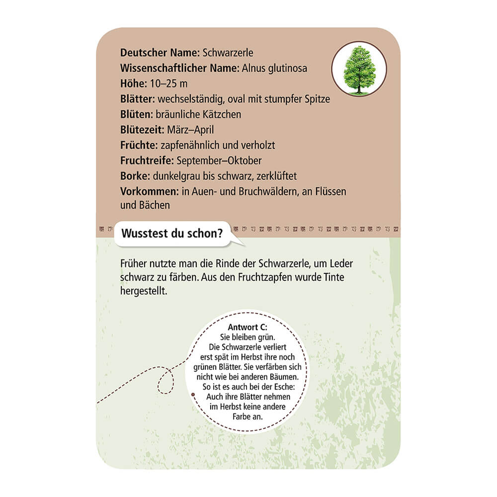 Expedition Natur - 50 heimische Bäume von Moses Verlag kaufen - Spielzeug, Geschenke, Babykleidung & mehr