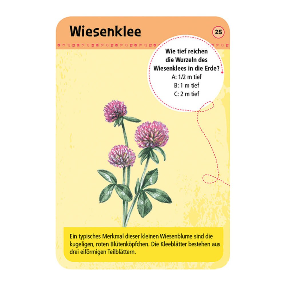 Expedition Natur - 50 heimische Blumen von Moses Verlag kaufen - Spielzeug, Geschenke, Babykleidung & mehr