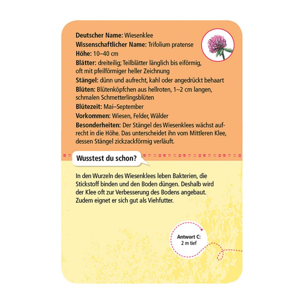 Expedition Natur - 50 heimische Blumen von Moses Verlag kaufen - Spielzeug, Geschenke, Babykleidung & mehr