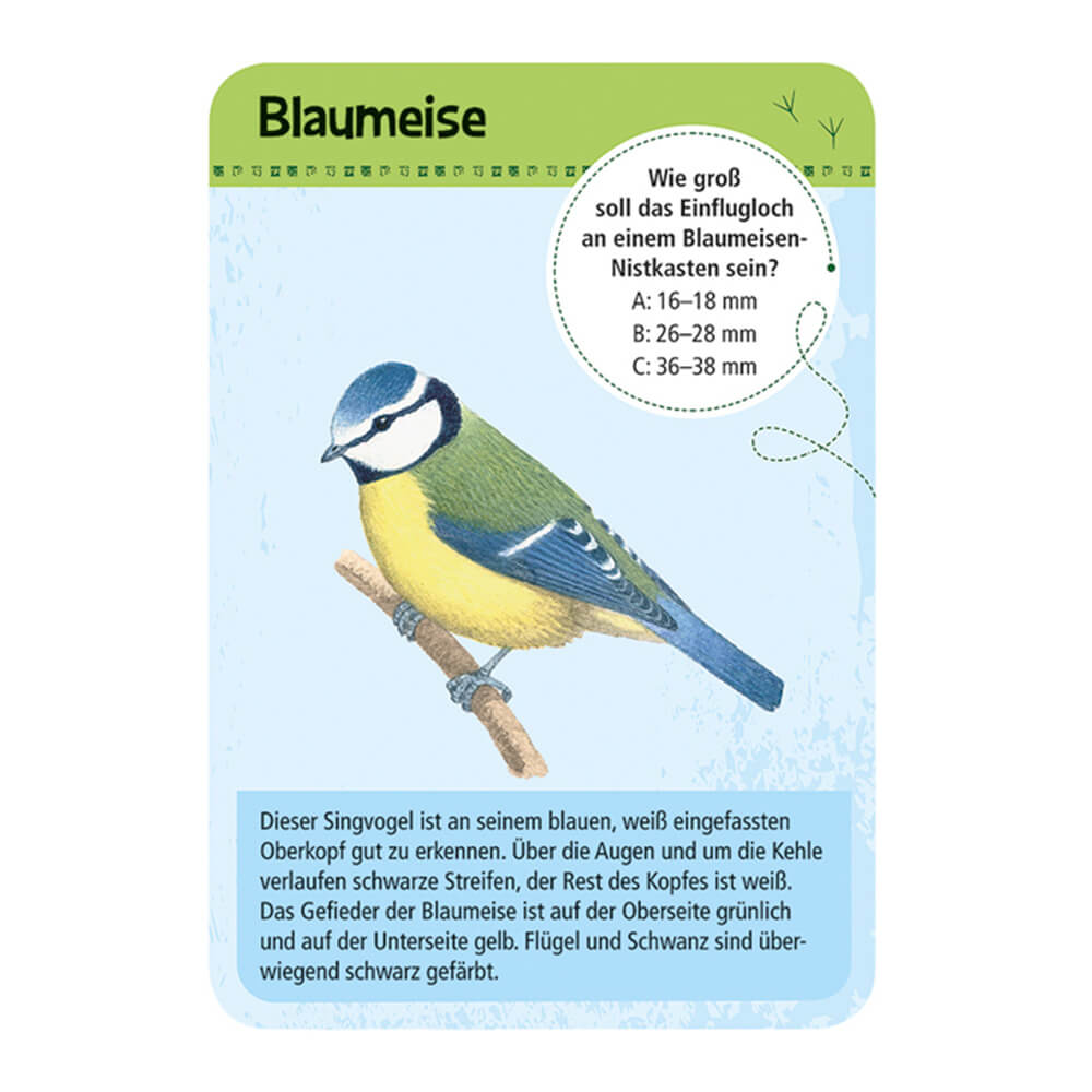 Expedition Natur - 50 heimische Vögel von Moses Verlag kaufen - Spielzeug, Geschenke, Babykleidung & mehr