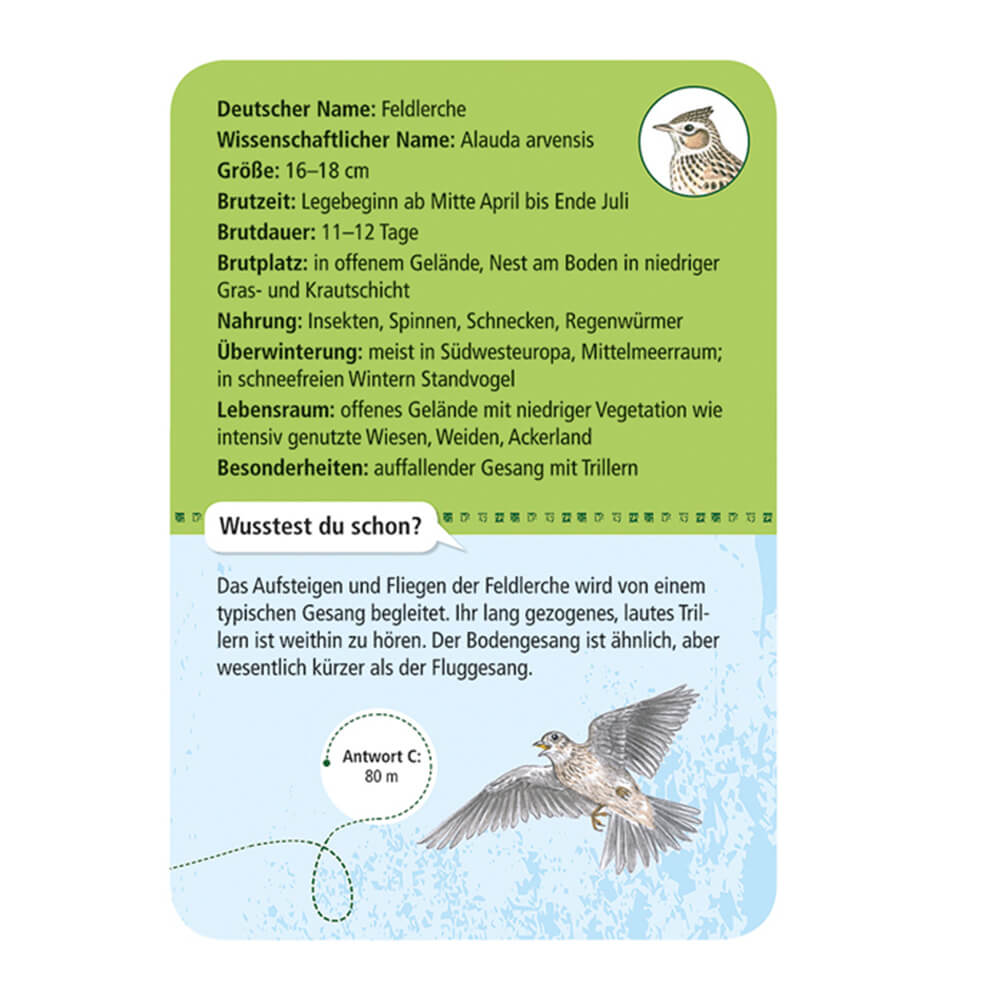 Expedition Natur - 50 heimische Vögel von Moses Verlag kaufen - Spielzeug, Geschenke, Babykleidung & mehr