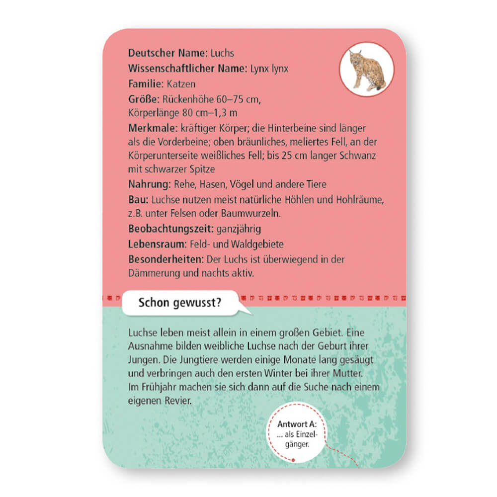 Expedition Natur - 50 heimische Wald - & Wildtiere von Moses Verlag kaufen - Spielzeug, Geschenke, Babykleidung & mehr