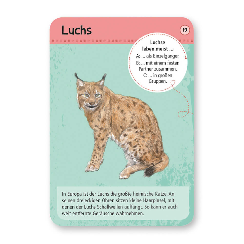 Expedition Natur - 50 heimische Wald - & Wildtiere von Moses Verlag kaufen - Spielzeug, Geschenke, Babykleidung & mehr