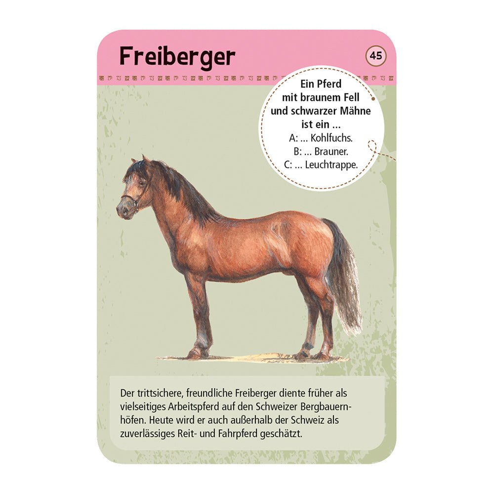 Expedition Natur - 50 Pferde & Ponys von Moses Verlag kaufen - Spielzeug, Geschenke, Babykleidung & mehr