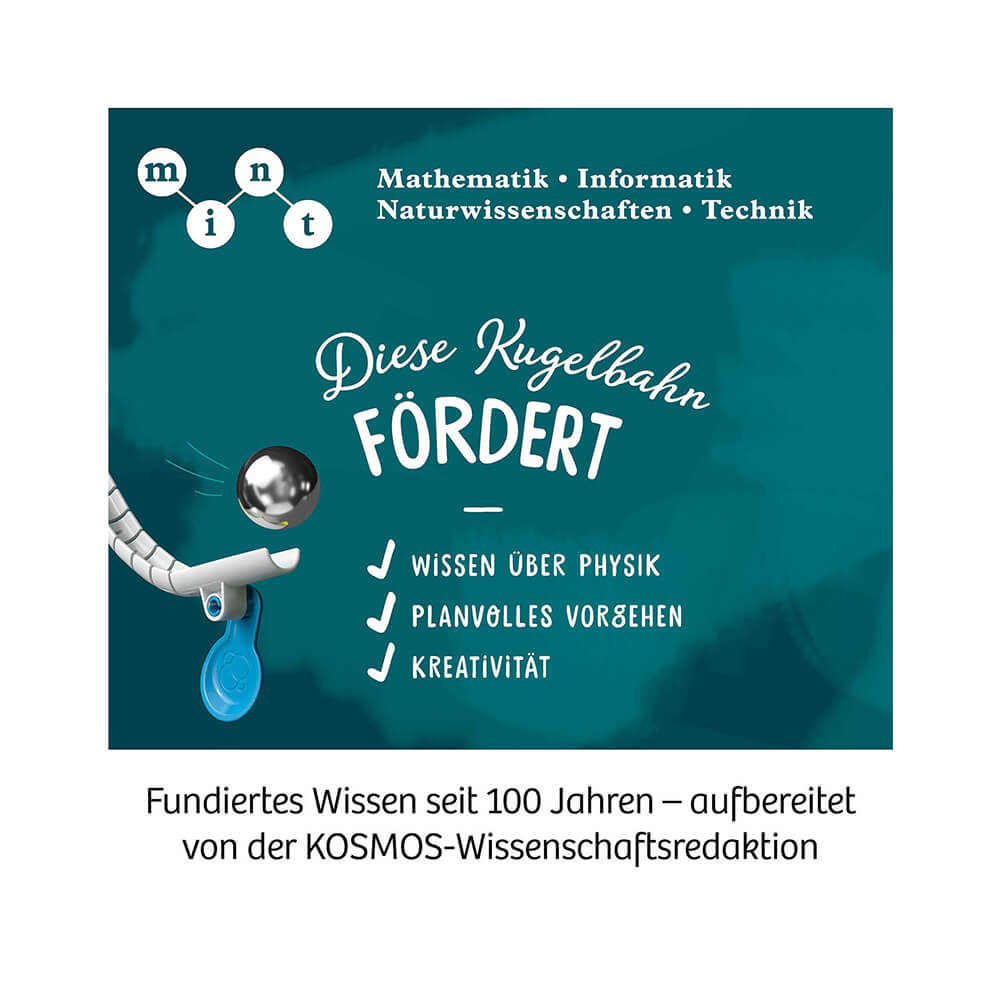 Gecko Run - Starter - Set von Kosmos kaufen - Spielzeug, Geschenke, Babykleidung & mehr