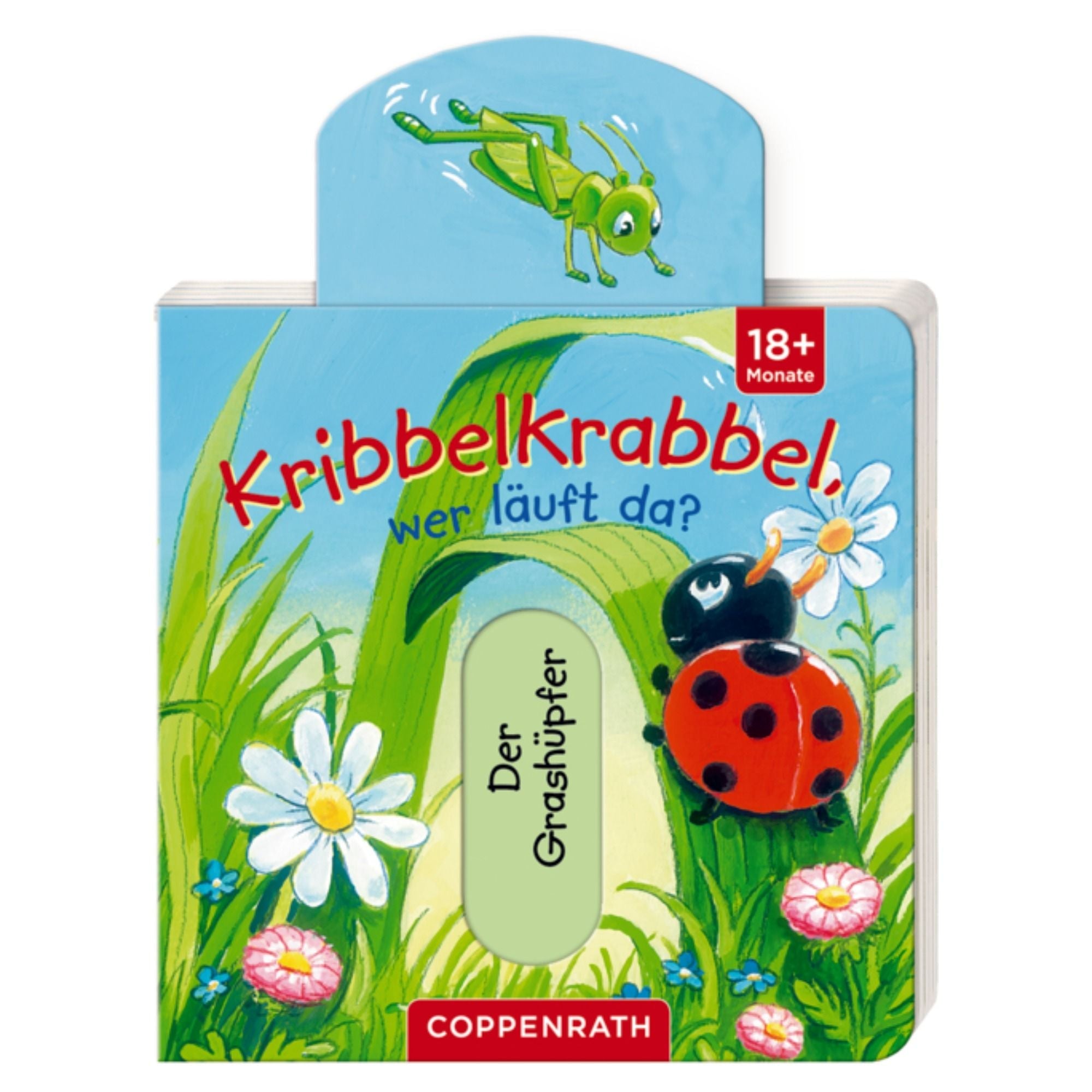 Kinderbuch von Coppenrath GmbH kaufen - Baby, Spielzeug, Geschenke,, Babykleidung & mehr
