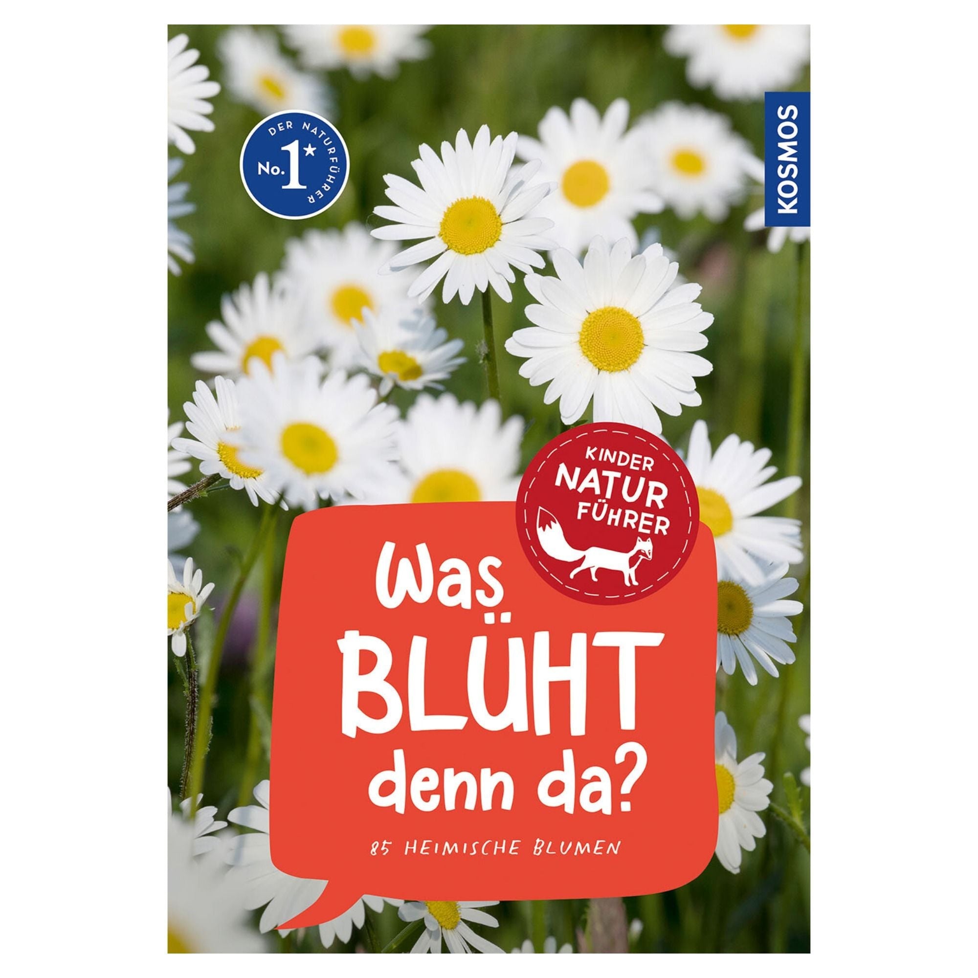 Kindernaturführer - Was blüht denn da? von Kosmos kaufen - Spielzeug, Geschenke, Babykleidung & mehr