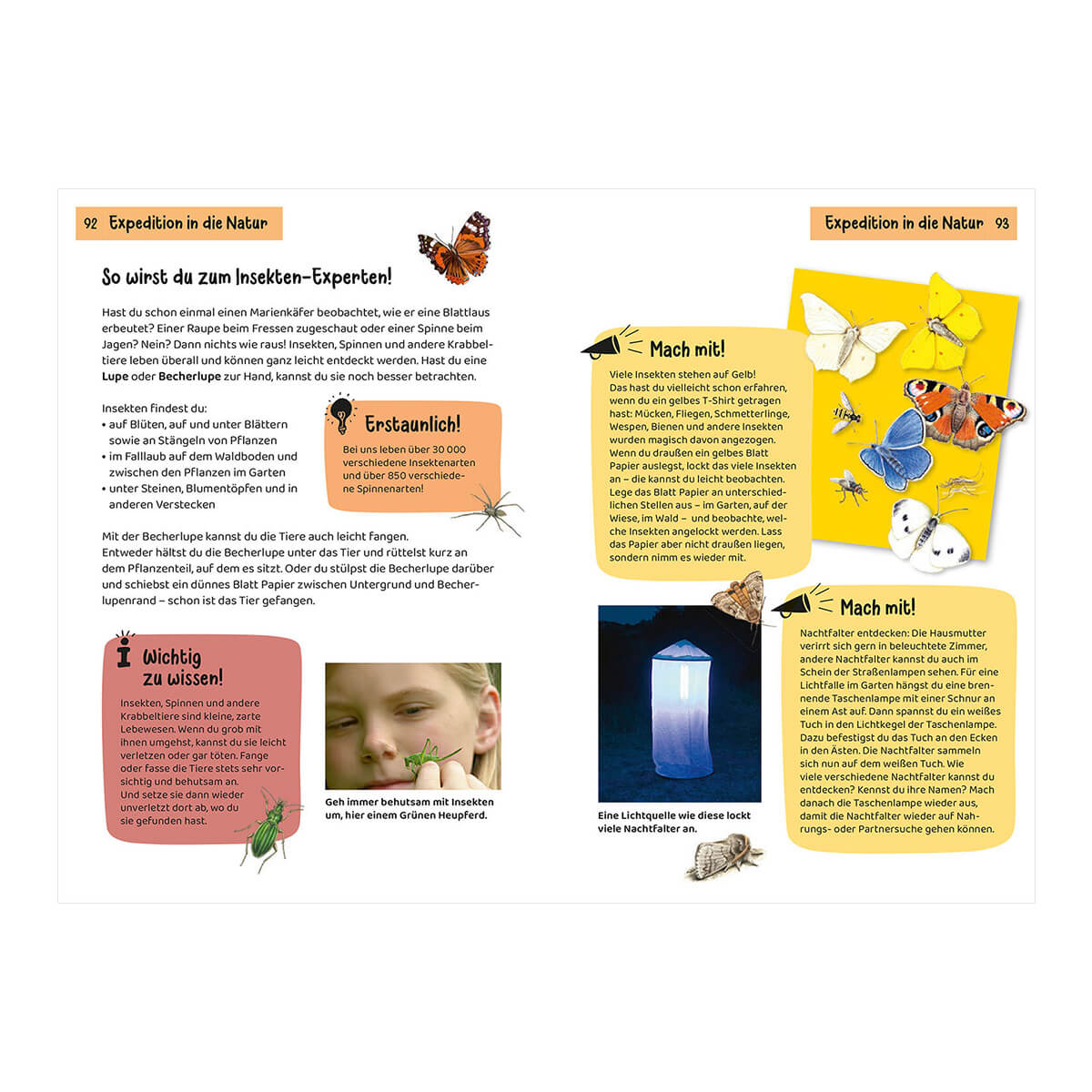 Kindernaturführer - Was krabbelt denn da? von Kosmos kaufen - Spielzeug, Geschenke, Babykleidung & mehr