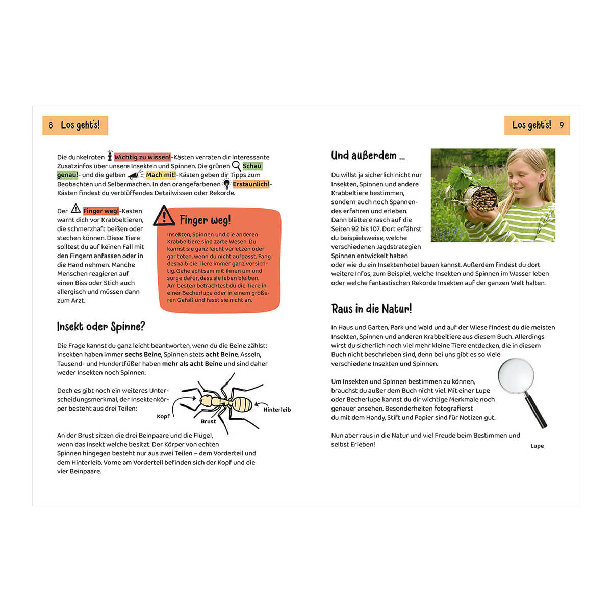 Kindernaturführer - Was krabbelt denn da? von Kosmos kaufen - Spielzeug, Geschenke, Babykleidung & mehr