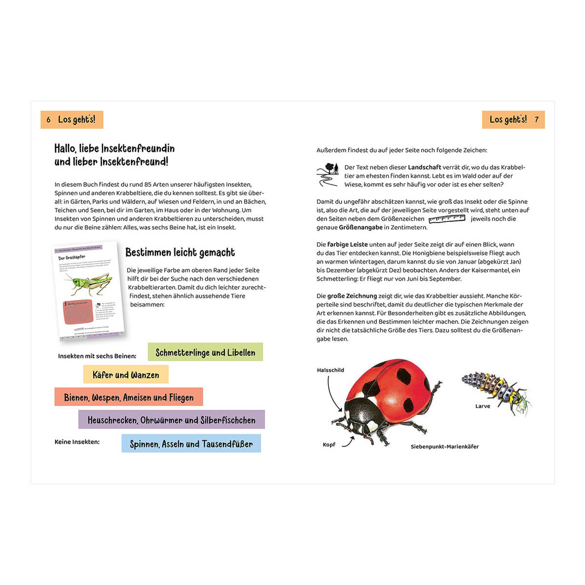 Kindernaturführer - Was krabbelt denn da? von Kosmos kaufen - Spielzeug, Geschenke, Babykleidung & mehr