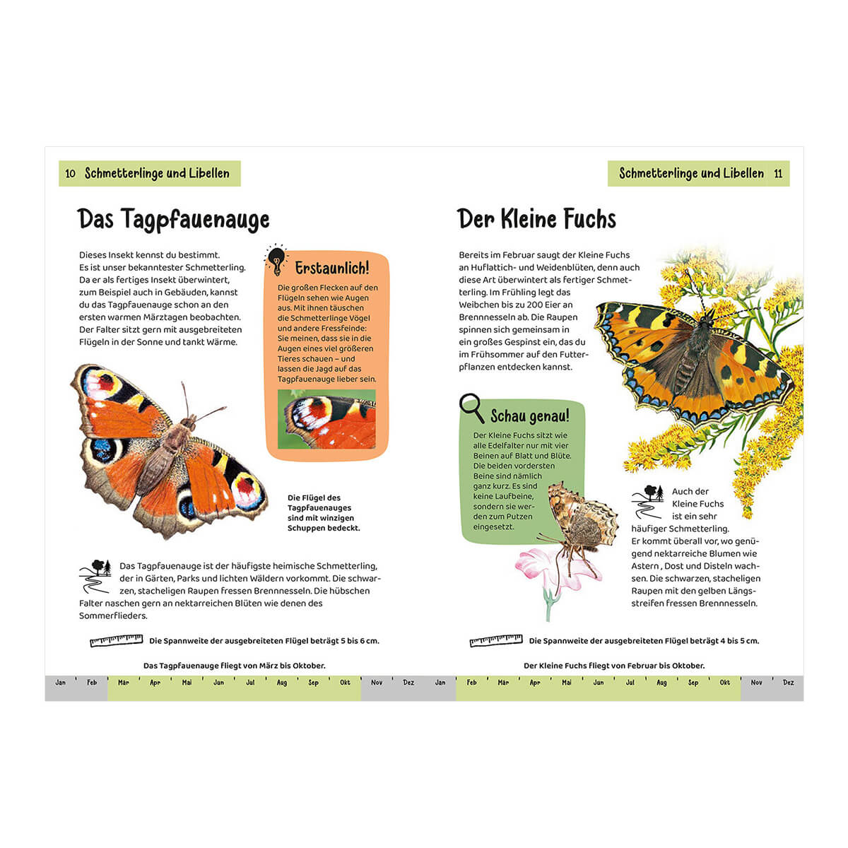 Kindernaturführer - Was krabbelt denn da? von Kosmos kaufen - Spielzeug, Geschenke, Babykleidung & mehr