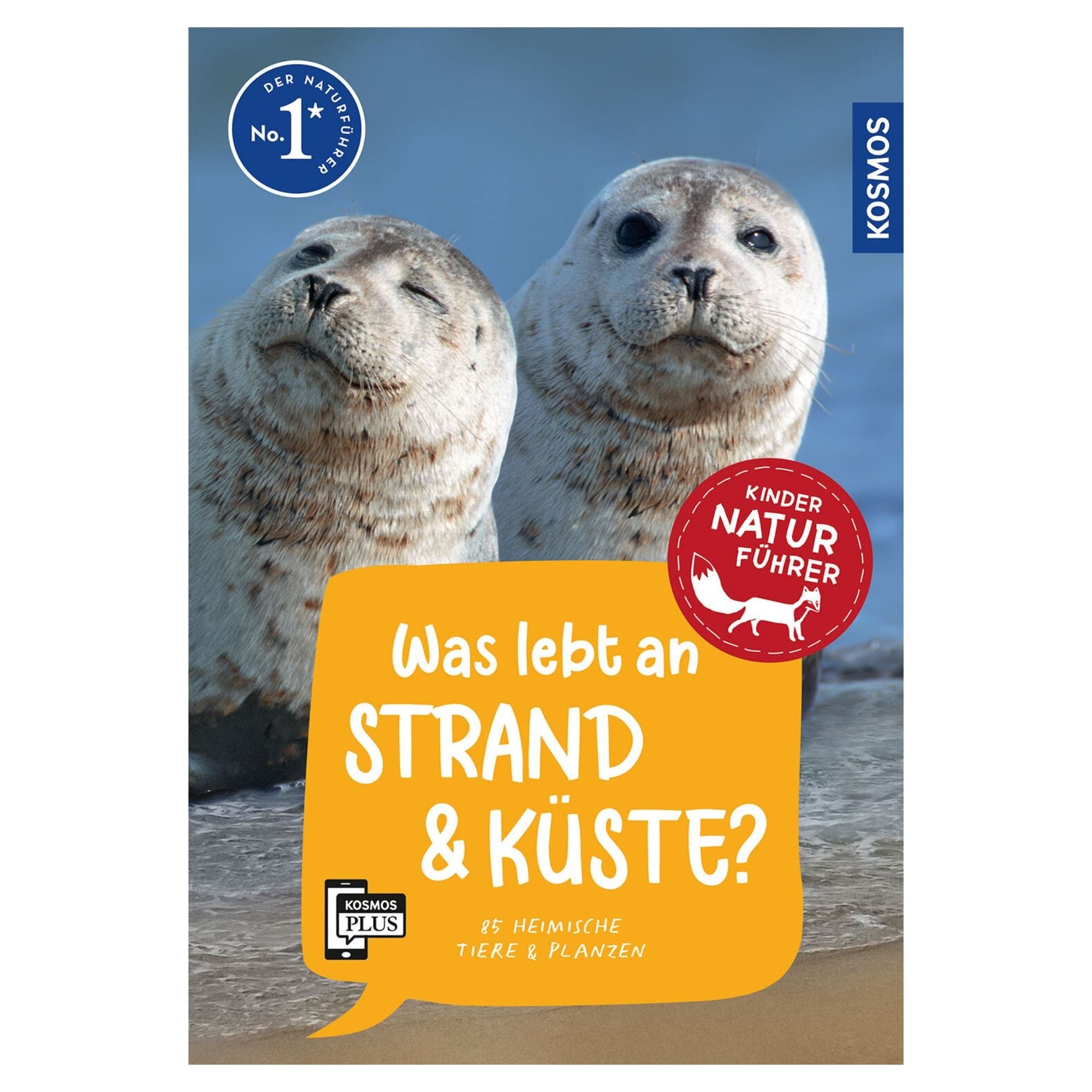 Kindernaturführer - Was lebt an Strand und Küste? von Kosmos kaufen - Spielzeug, Geschenke, Babykleidung & mehr