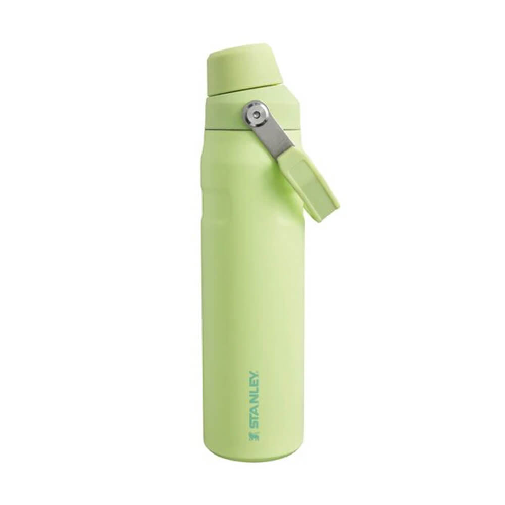Thermo Trinkflasche Iceflow Fast Flow Bottle 0,6L von Stanley kaufen - Alltagshelfer, Mama, Geschenke,, Babykleidung & mehr