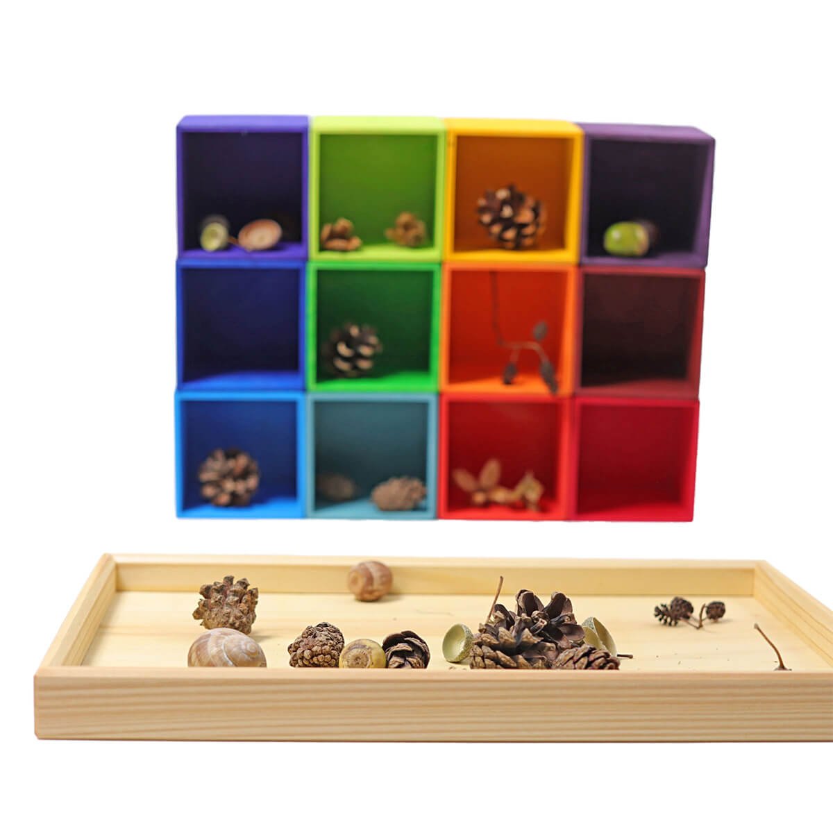 12er Sortierhilfe aus Holz von Grimm´s kaufen - Spielzeug, Kinderzimmer, Alltagshelfer, Geschenke, Babykleidung & mehr