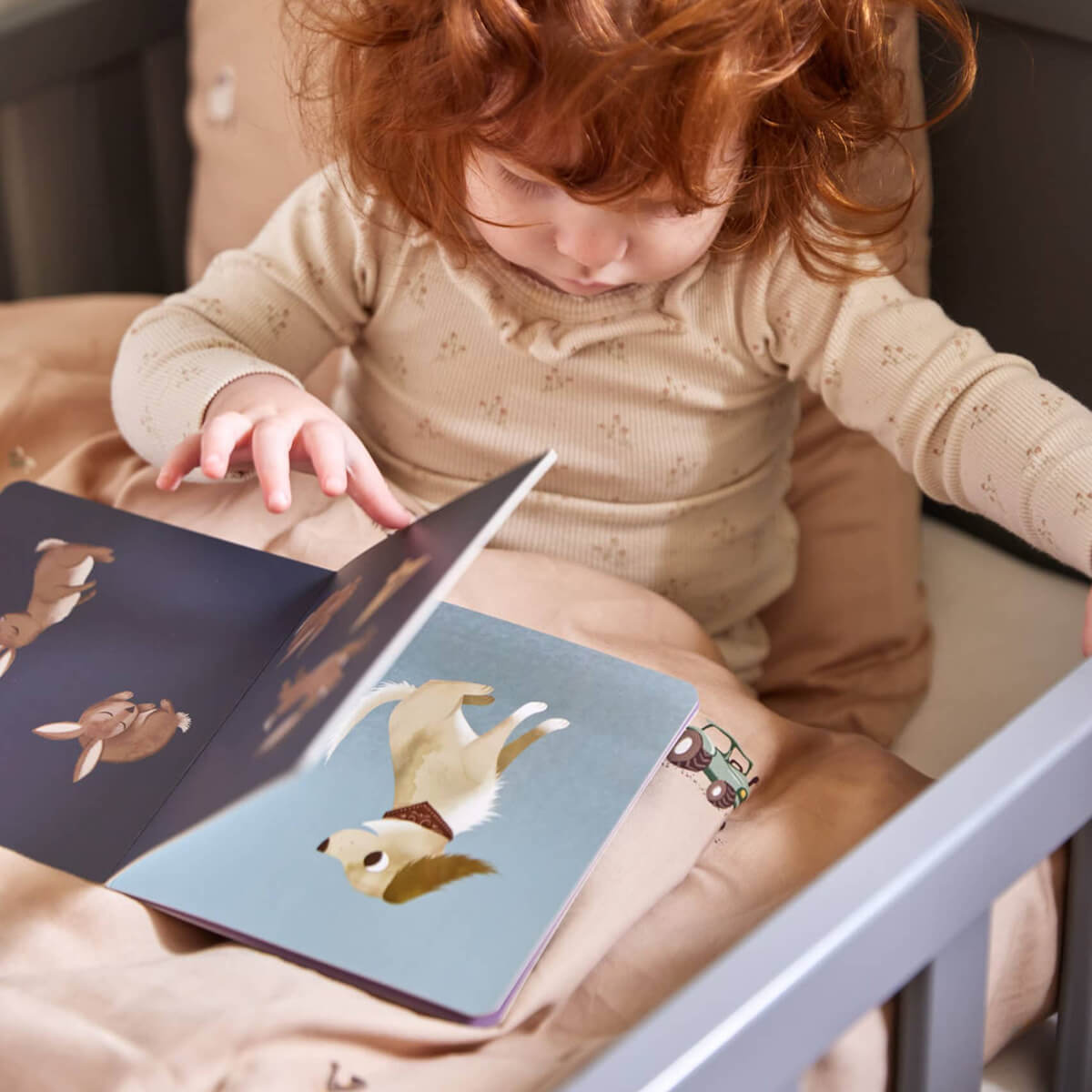 Babybuch aus Pappe ab 12 Monate von Filibabba kaufen - Spielzeug, Geschenke, Babykleidung & mehr