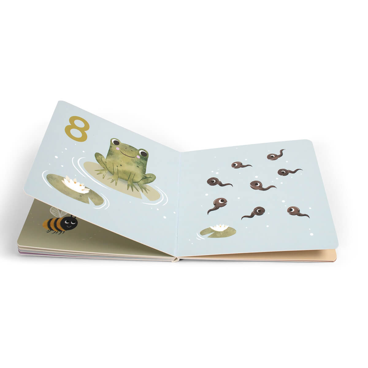 Babybuch aus Pappe ab 12 Monate von Filibabba kaufen - Spielzeug, Geschenke, Babykleidung & mehr