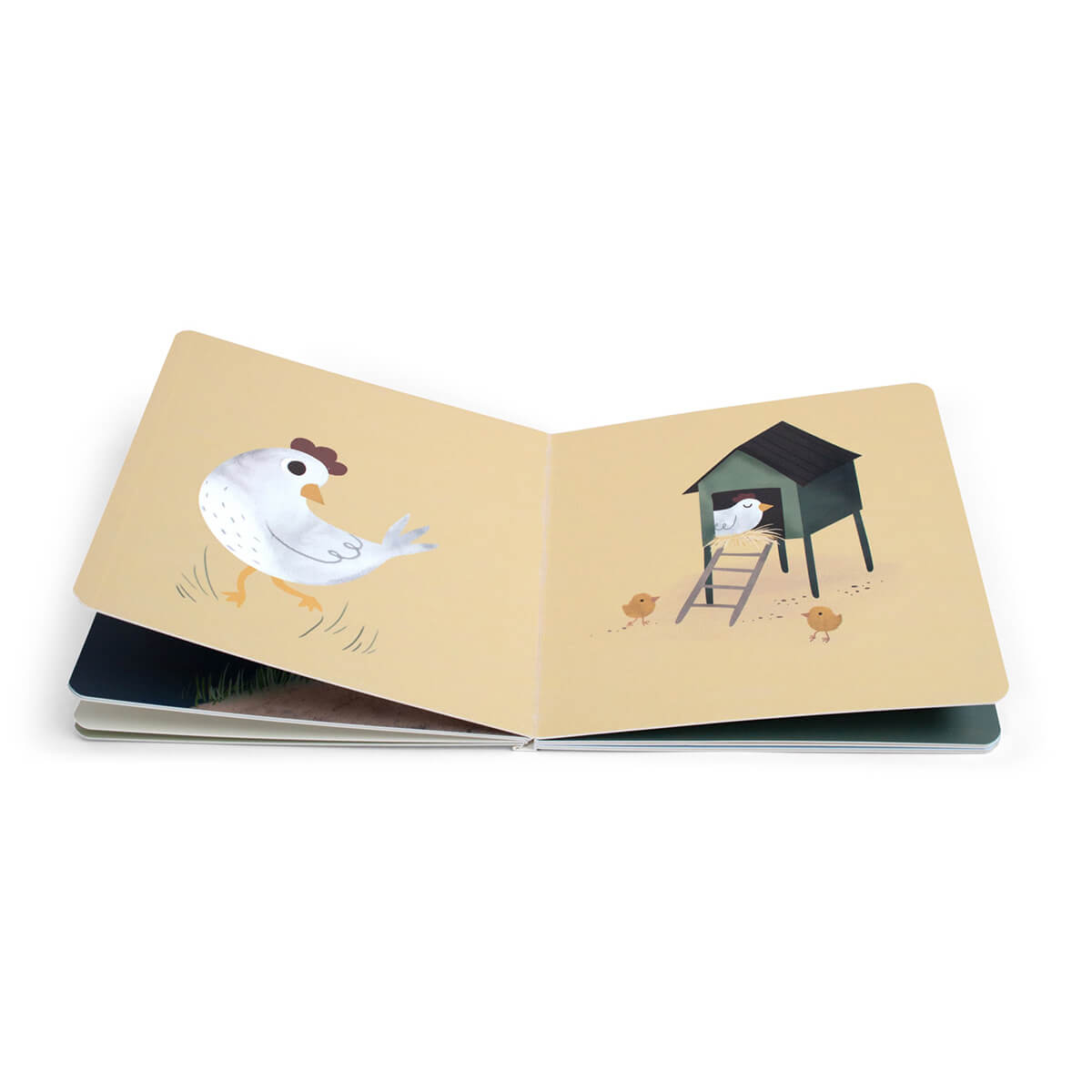 Babybuch aus Pappe ab 12 Monate von Filibabba kaufen - Spielzeug, Geschenke, Babykleidung & mehr