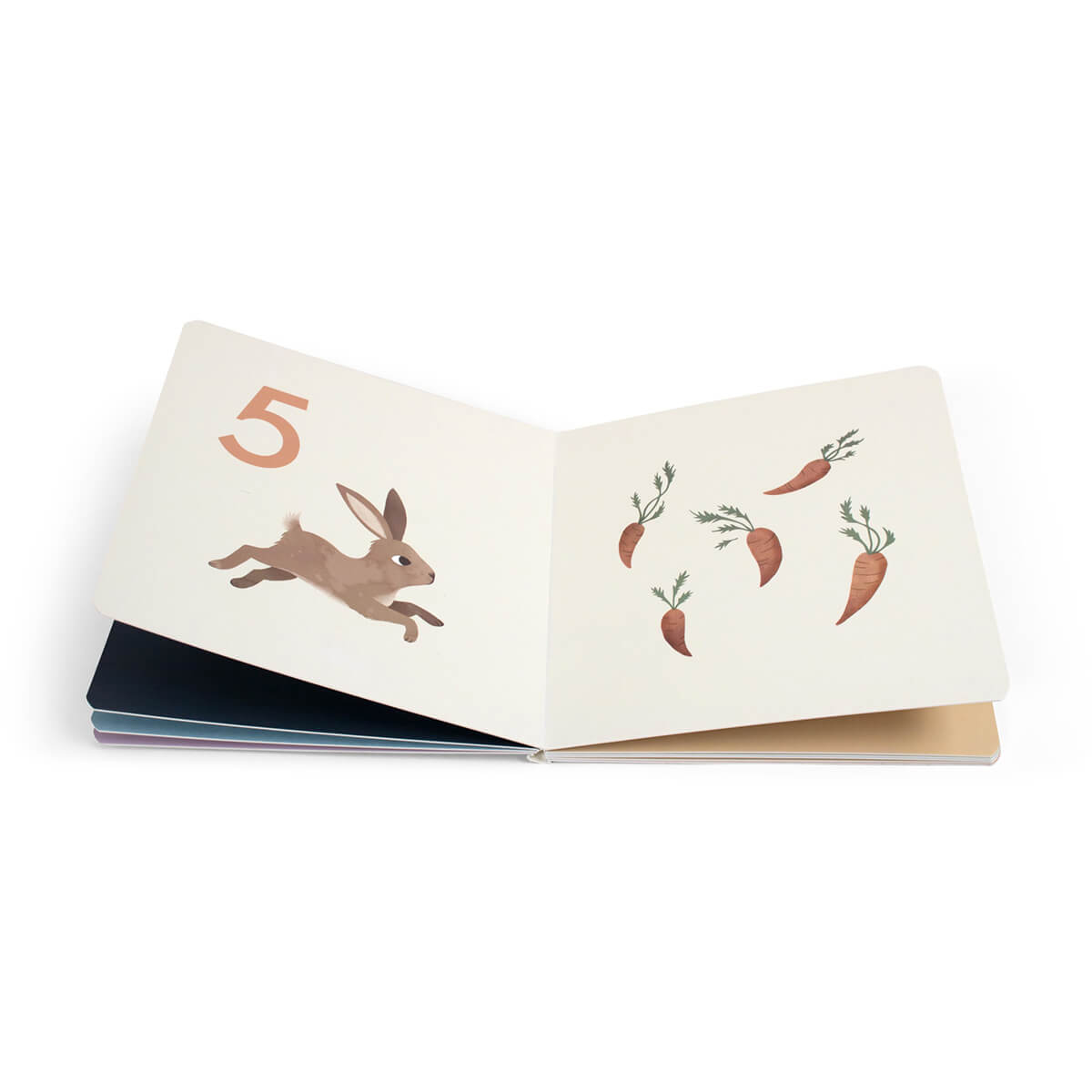 Babybuch aus Pappe ab 12 Monate von Filibabba kaufen - Spielzeug, Geschenke, Babykleidung & mehr