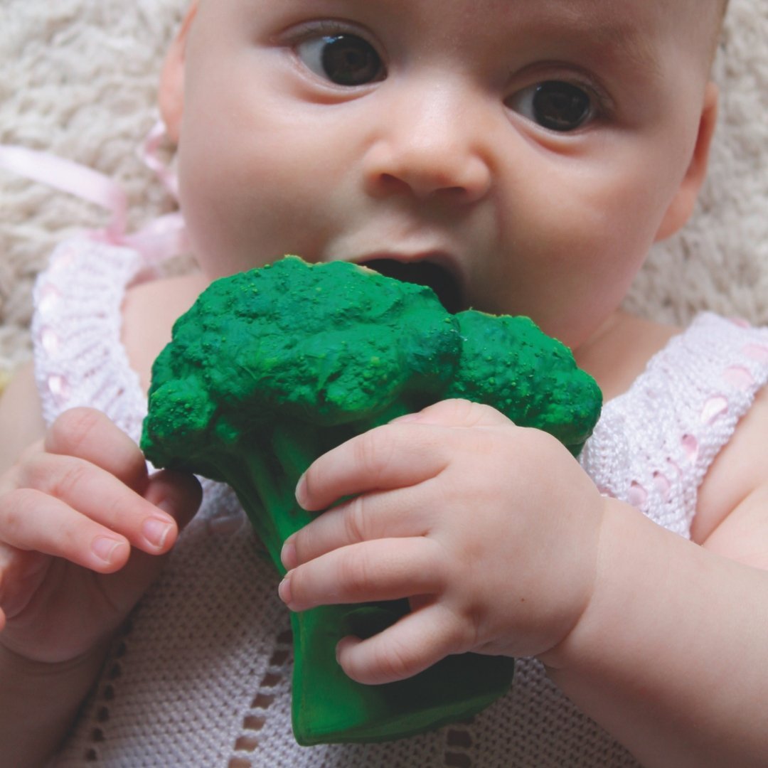 Babyspielzeug “Brucy the Broccoli” von Oli&Carol kaufen - Baby, Alltagshelfer, Geschenke, Babykleidung & mehr