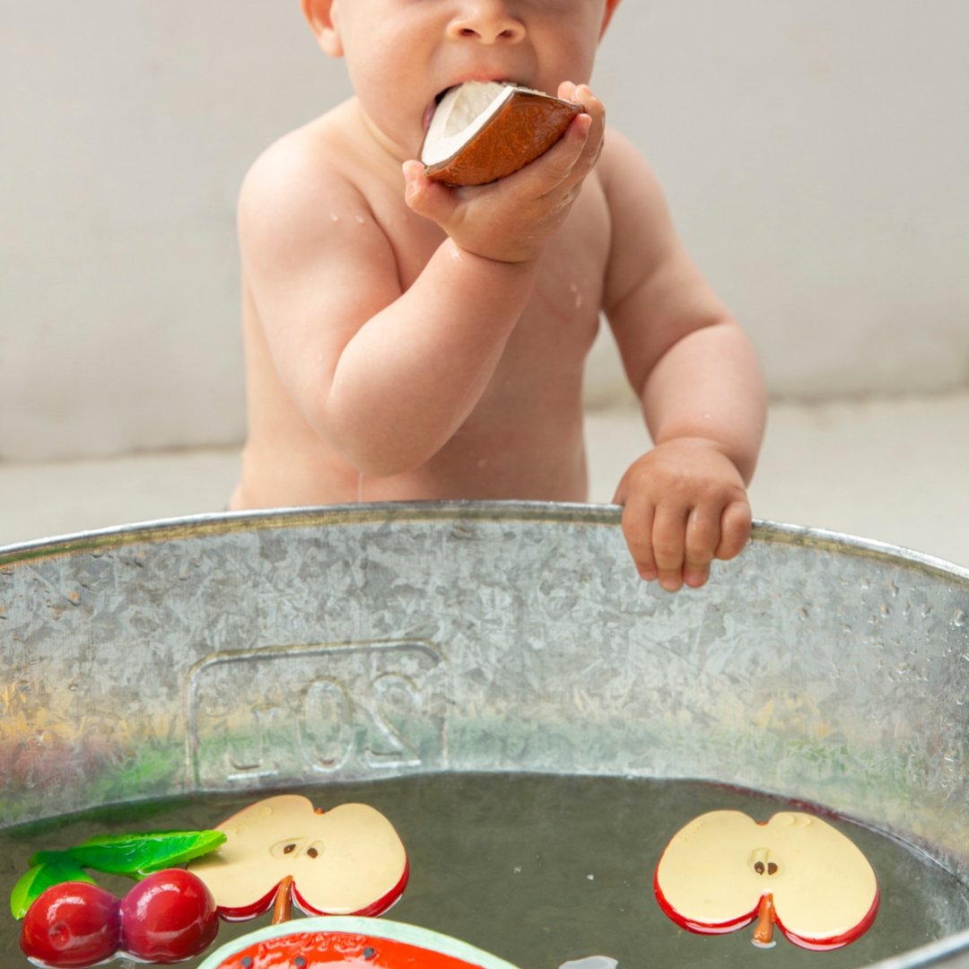 Babyspielzeug “Coco the Coconut” von Oli&Carol kaufen - Spielzeug, Babykleidung & mehr