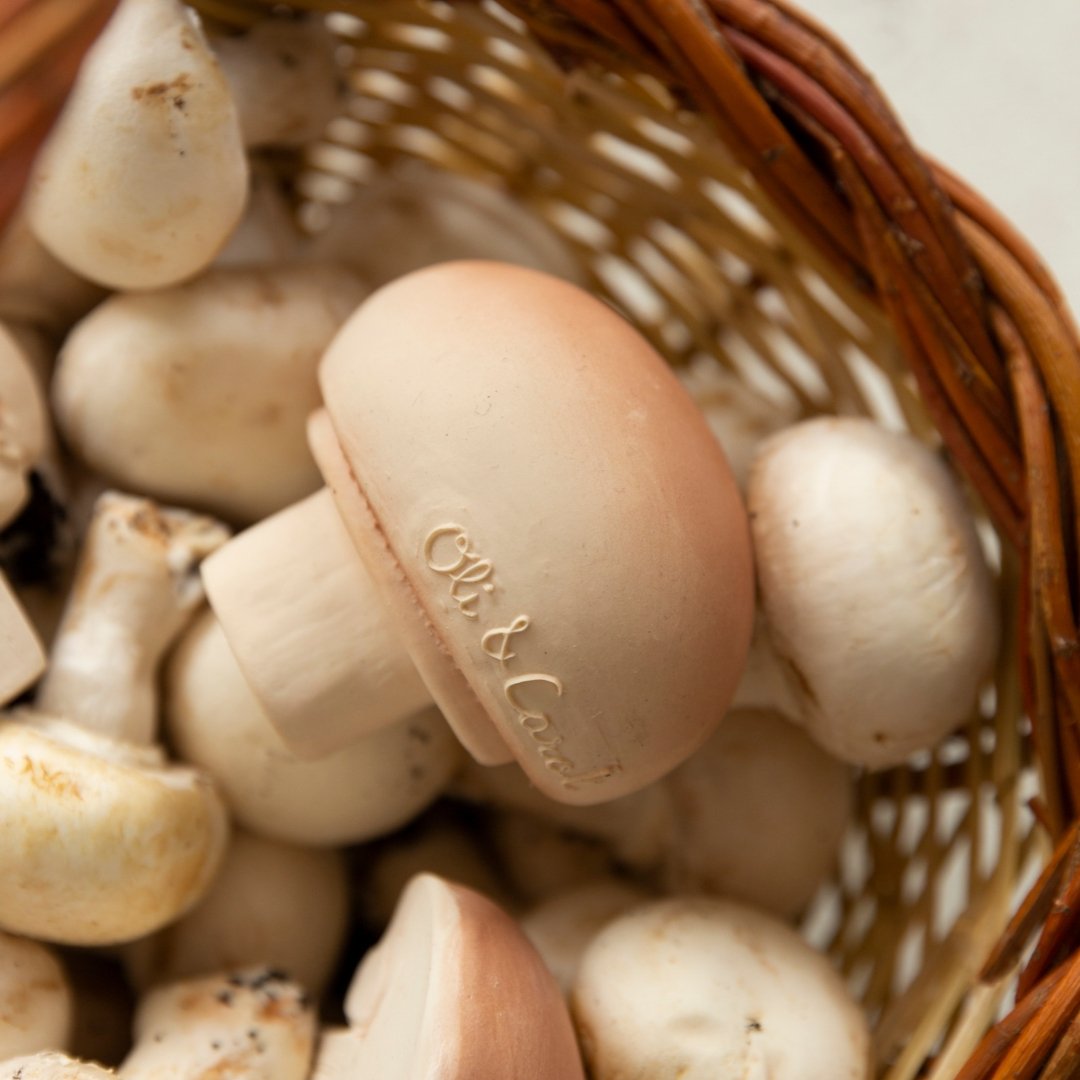 Babyspielzeug “Manolo the Mushroom” von Oli&Carol kaufen - Spielzeug, Babykleidung & mehr