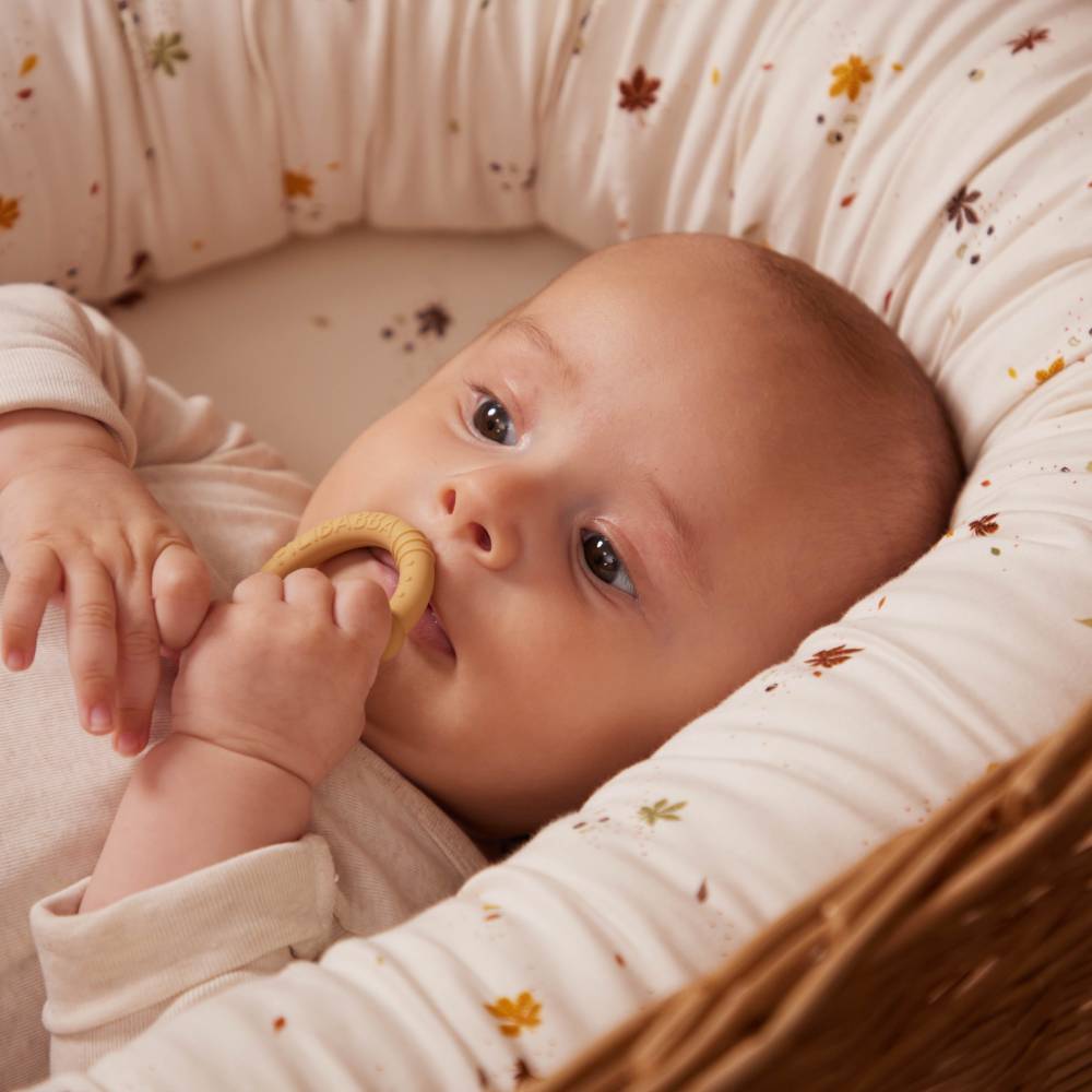 Beißringe aus Silikon für Babies 2er Set von Filibabba kaufen - Baby, Babykleidung & mehr