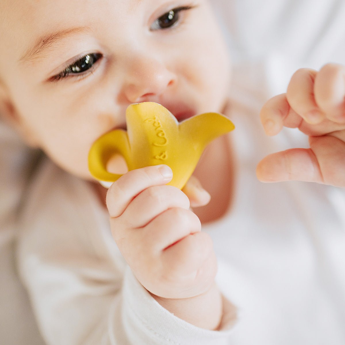 Chewy to go - Anita the Bananita von Oli&Carol kaufen - Baby, Alltagshelfer, Geschenke, Babykleidung & mehr