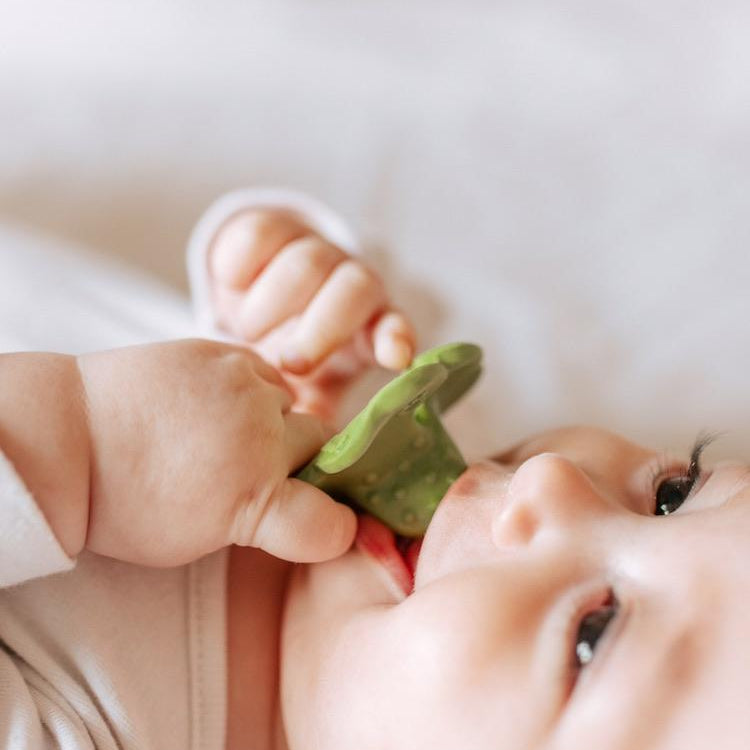 Chewy to go - Eli the Clover von Oli&Carol kaufen - Spielzeug, Babykleidung & mehr