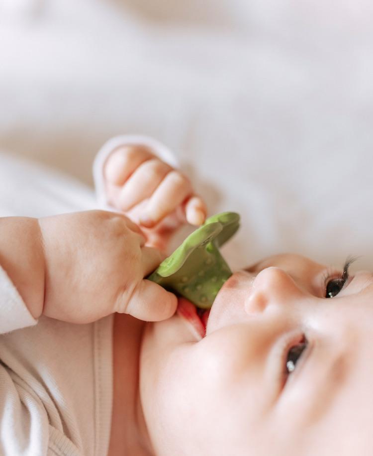 Chewy to go - Eli the Clover von Oli&Carol kaufen - Spielzeug, Babykleidung & mehr