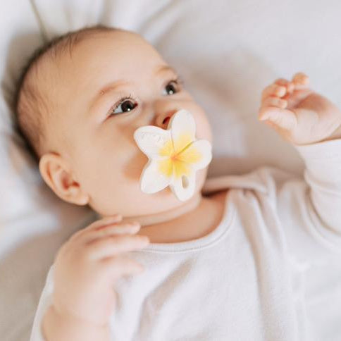 Chewy to go - Hawaii the Flower von Oli&Carol kaufen - Spielzeug, Babykleidung & mehr