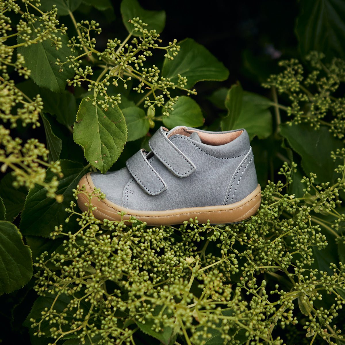 Halbschuh Everyday Shoe Velcro - aus Chrom freiem Premium Leder von petit nord kaufen - Kleidung, Babykleidung & mehr