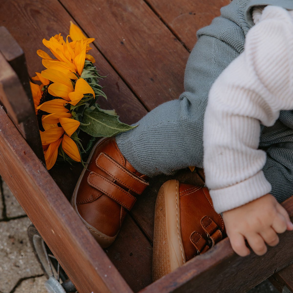 Halbschuh Everyday Shoe Velcro - aus Chrom freiem Premium Leder von petit nord kaufen - Kleidung, Babykleidung & mehr