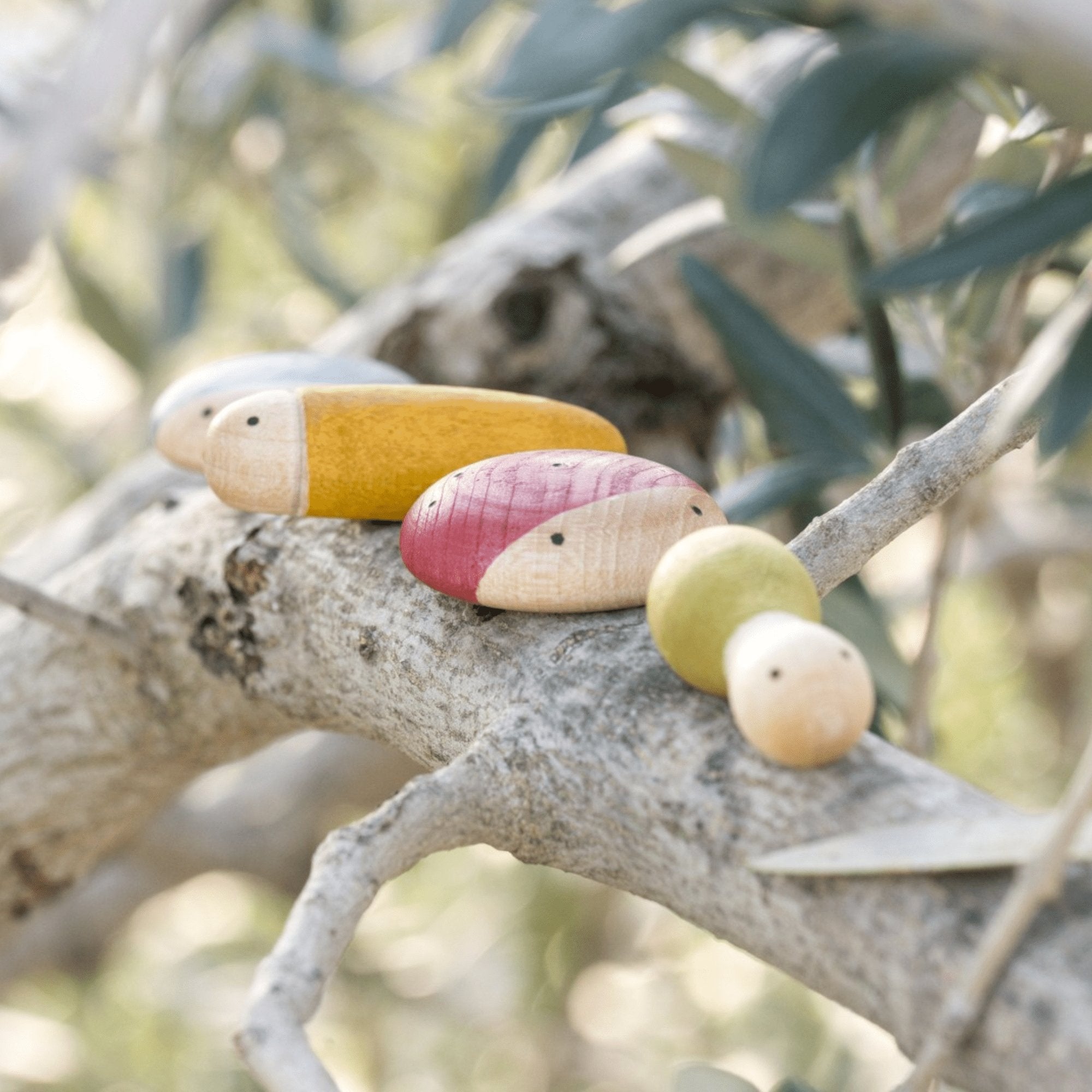 Insekten Spielzeug aus Holz von Grapat kaufen - Spielzeug, Babykleidung & mehr