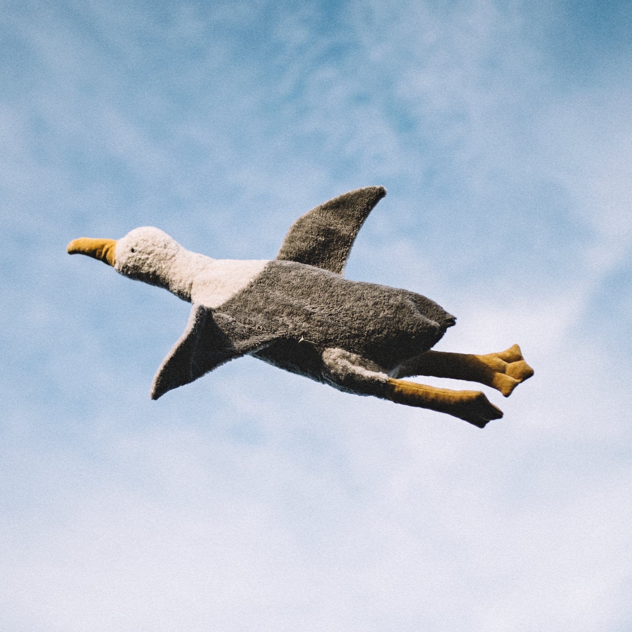 Kuscheltier Möwe Wärmekissen von Senger Naturwelt kaufen - Baby, Alltagshelfer, Geschenke, Spielzeug, Babykleidung & mehr