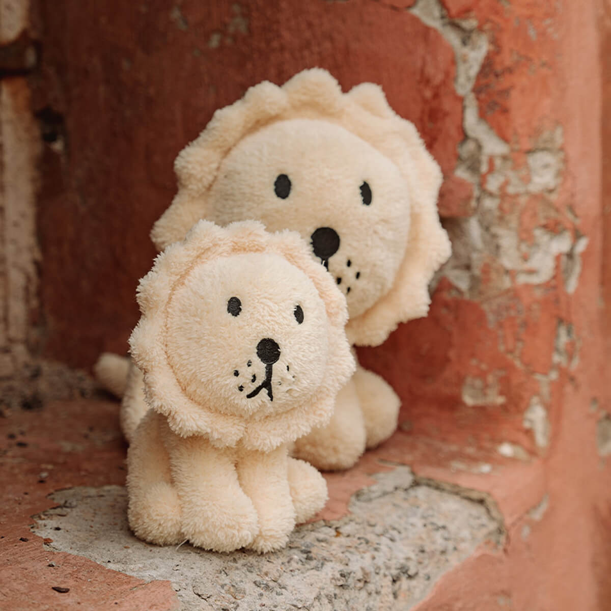 Lion Terry von Miffy kaufen - Spielzeug, Geschenke, Babykleidung & mehr