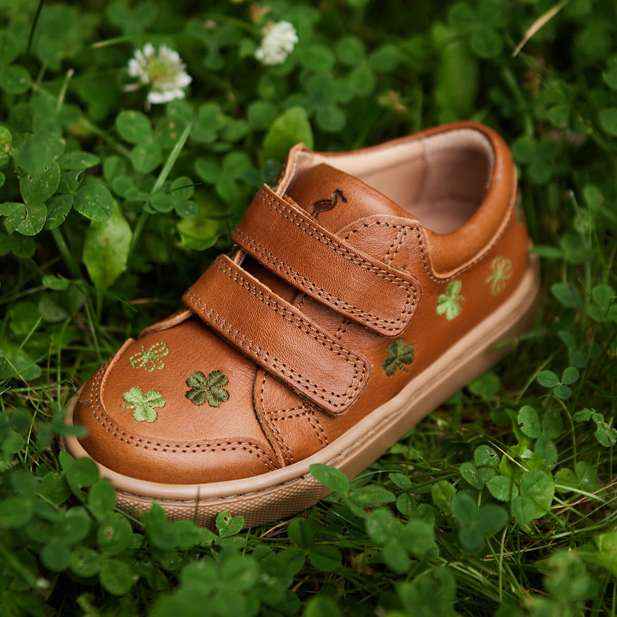 Low Sneaker Clover Uniqua Collection aus Chromfreien Premium Leder von petit nord kaufen - Kleidung, Babykleidung & mehr