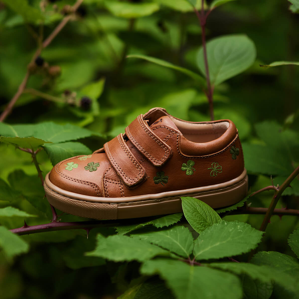 Low Sneaker Clover Uniqua Collection aus Chromfreien Premium Leder von petit nord kaufen - Kleidung, Babykleidung & mehr