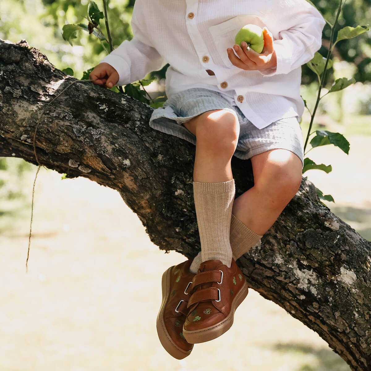 Low Sneaker Clover Uniqua Collection aus Chromfreien Premium Leder von petit nord kaufen - Kleidung, Babykleidung & mehr