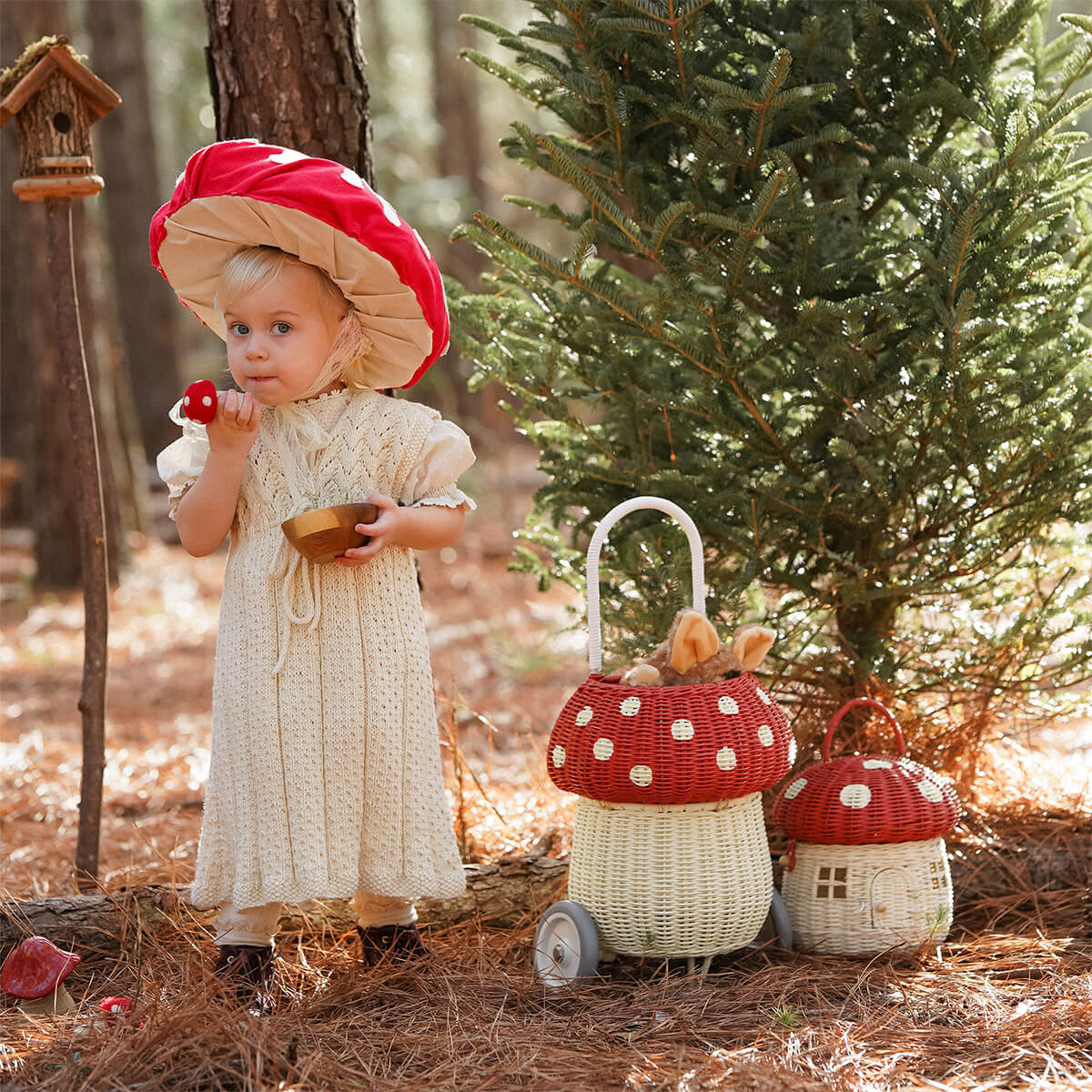 Rollkorb Mushroom Luggy aus Rattan von Olli Ella kaufen - Kleidung, Spielzeug, Alltagshelfer, Geschenke, Babykleidung & mehr