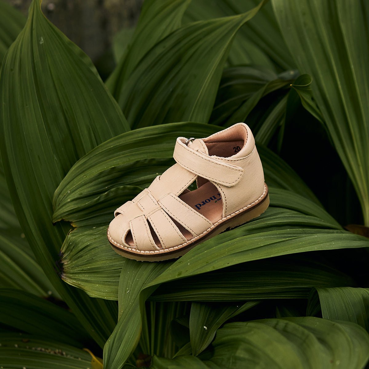 Sandale Classic - aus Chrom freiem Premium Leder von petit nord kaufen - Kleidung, Babykleidung & mehr